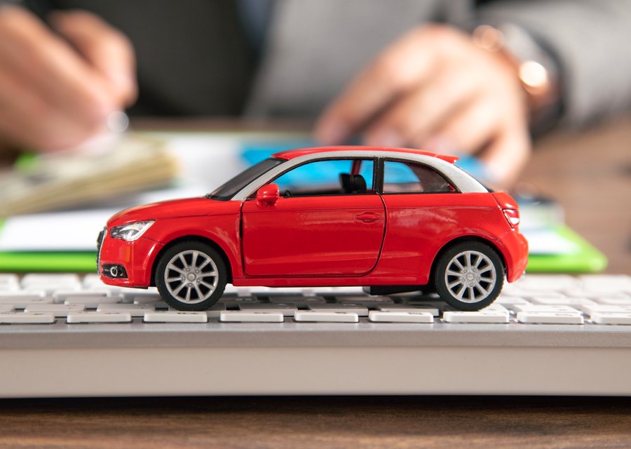 Mann Car Insurance LLC auto insurance in Palm Harbor, FL (1)