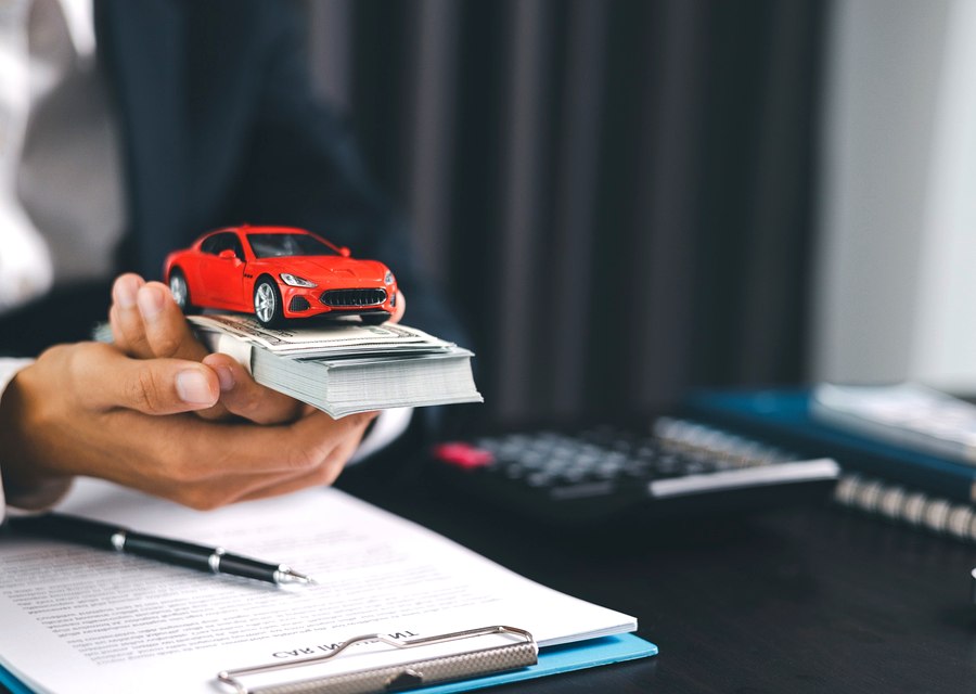 Amiga Auto Insurance auto insurance in Brainerd, MN (1)