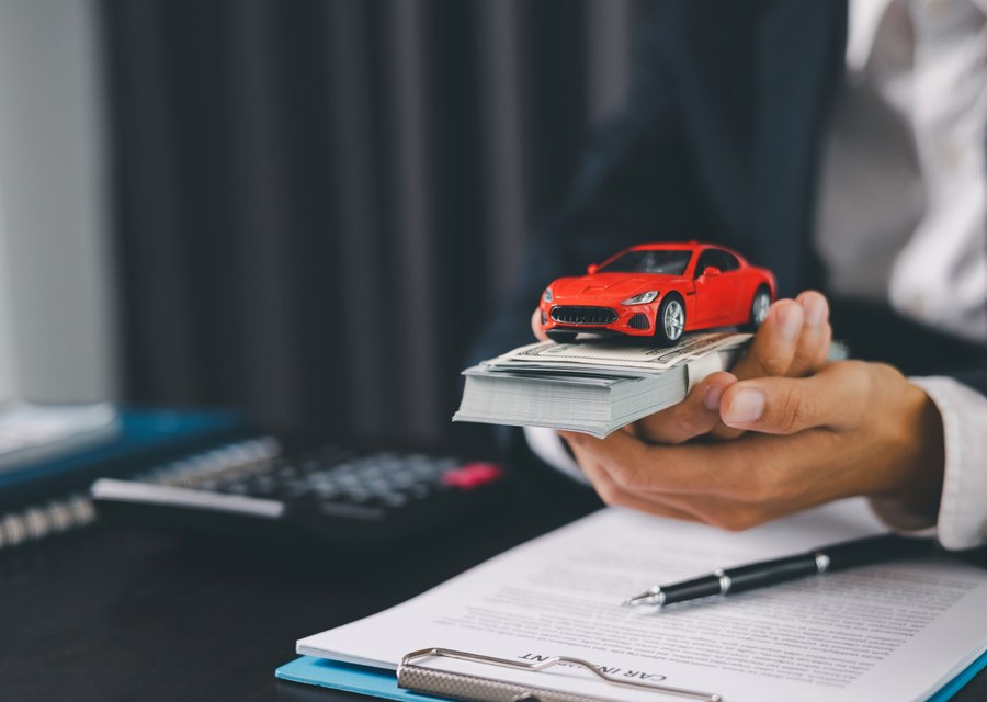 Mann Car Insurance LLC auto insurance in Palm Harbor, FL (3)